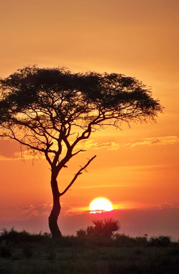 Ethiopia Omo valley sunrise