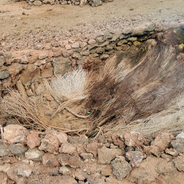 Dobahu volcano, Ethiopia