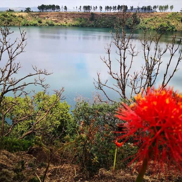 Lake Zengena