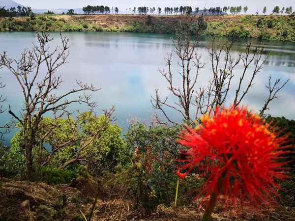 Lake Zengena