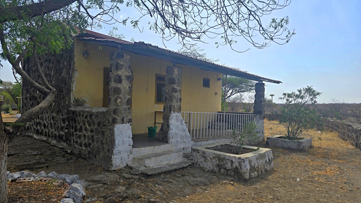 Ethiopia_Awash_Andido__3_.jpg